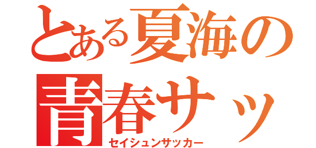 とある夏海の青春サッカー（セイシュンサッカー）