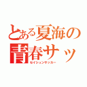 とある夏海の青春サッカー（セイシュンサッカー）