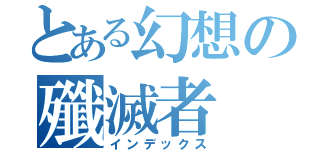 とある幻想の殲滅者（インデックス）