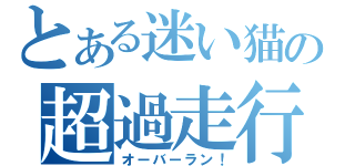 とある迷い猫の超過走行（オーバーラン！）