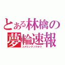 とある林檎の夢輪速報（ユメリングソクホウ）