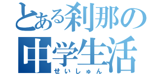 とある刹那の中学生活（せいしゅん）