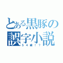 とある黒豚の誤字小説（５４歳！？）