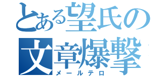 とある望氏の文章爆撃（メールテロ）