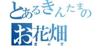 とあるきんたまのお花畑（きゃす）