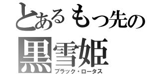 とあるもっ先の黒雪姫（ブラック・ロータス）