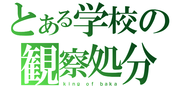 とある学校の観察処分者（ｋｉｎｇ ｏｆ ｂａｋａ）