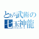 とある武術の七玉神龍（ドラゴンボール）