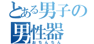 とある男子の男性器（おちんちん）