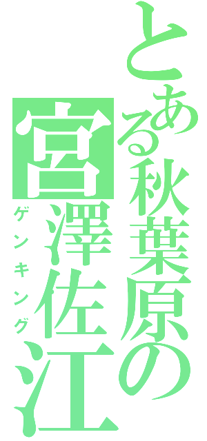 とある秋葉原の宮澤佐江（ゲンキング）