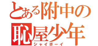 とある附中の恥屋少年（シャイボーイ）