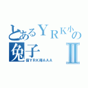 とあるＹＲＫ小三の兔子Ⅱ（信ＹＲＫ得ＡＡＡ）