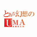 とある幻想のＵＭＡ（未確認生物）