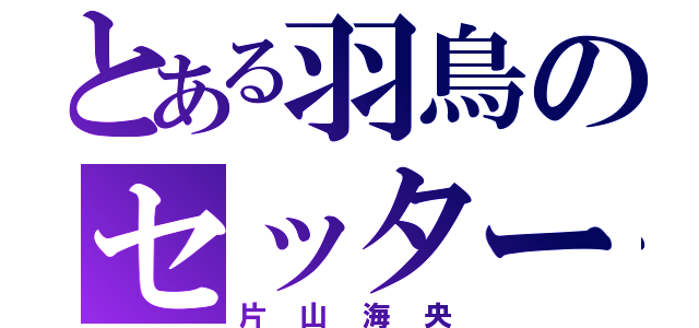 とある羽鳥のセッター（片山海央）