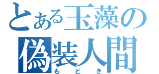 とある玉藻の偽装人間（もどき）