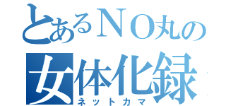 とあるＮＯ丸の女体化録（ネットカマ）