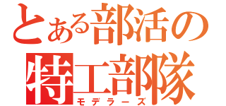 とある部活の特工部隊（モデラーズ）