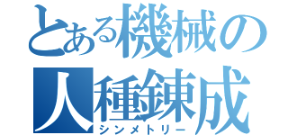 とある機械の人種錬成（シンメトリー）