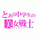 とある中学生の美女戦士（プリキュア）