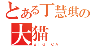 とある丁慧琪の大猫（ＢＩＧ ＣＡＴ）