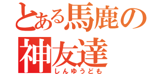 とある馬鹿の神友達（しんゆうども）