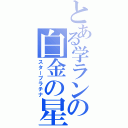 とある学ランの白金の星（スタープラチナ）