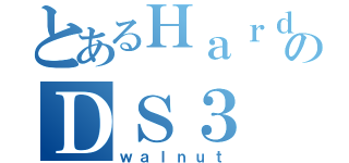 とあるＨａｒｄのＤＳ３（ｗａｌｎｕｔ）