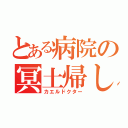 とある病院の冥土帰し（カエルドクター）