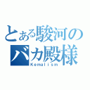 とある駿河のバカ殿様（Ｋｅｍａｌｉｓｍ）