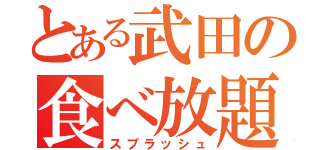 とある武田の食べ放題（スプラッシュ）