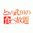 とある武田の食べ放題（スプラッシュ）