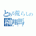 とある荒らしの榊翔馬（カツオ）