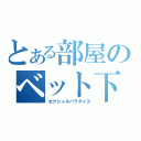 とある部屋のベット下（セクシャルパラダイス）