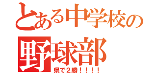 とある中学校の野球部（県で２勝！！！！）