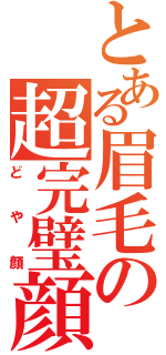 とある眉毛の超完璧顔（どや顔）