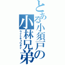 とある小須戸の小林兄弟（ライトキョウダイ）