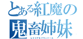 とある紅魔の鬼畜姉妹（　レミリア＆フランドール）