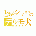 とあるシャララのデルモ犬（黄瀬涼太）