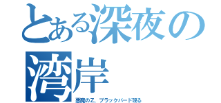 とある深夜の湾岸（悪魔のＺ、ブラックバード現る）