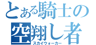 とある騎士の空翔し者（スカイウォーカー）