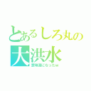 とあるしろ丸の大洪水（意味深になったｗ）