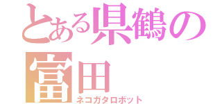 とある県鶴の富田（ネコガタロボット）