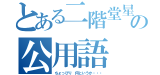 とある二階堂星での公用語（ちょっぴり　何というか・・・）