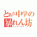 とある中学の暴れん坊（インデックス）