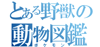 とある野獣の動物図鑑（ポケモン）