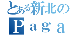 とある新北のＰａｇａｎｉｎｉ（）