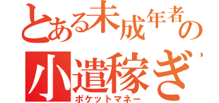 とある未成年者の小遣稼ぎ（ポケットマネー）