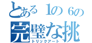 とある１の６の完璧な挑戦（トリックアート）