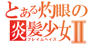 とある灼眼の炎髪少女Ⅱ（フレイムヘイズ）