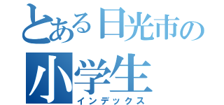 とある日光市の小学生（インデックス）